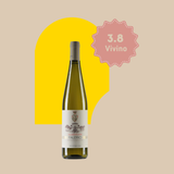 Falerio Bianco, Saladini Pilastri