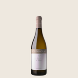 Scrimaglio - Gavi 2023 - White