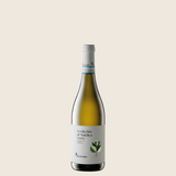 Verdicchio Val Bona Belisario 2024
