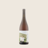 Zavec Brothers Pinot Gris 2023
